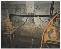  2024Ÿ��9039  �������