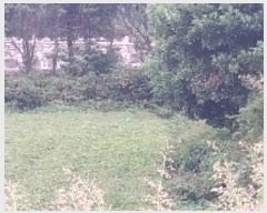  2024Ÿ10534    긮 2685-5      (Ӿ)