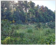  2024Ÿ��11216 ���� �������� ������ �Ϸʸ� 95-38      ����(�Ӿ�)���