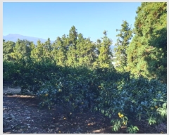  2024Ÿ��11216 ���� �������� ������ �Ϸʸ� 95-38      ����(�Ӿ�)���