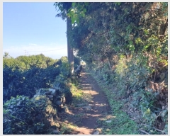  2024Ÿ��11216 ���� �������� ������ �Ϸʸ� 95-38      ����(�Ӿ�)���