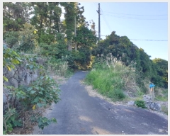  2024Ÿ��11216 ���� �������� ������ �Ϸʸ� 95-38      ����(�Ӿ�)���