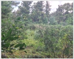  2024Ÿ��11216 ���� �������� ������ �Ϸʸ� 95-38      ����(�Ӿ�)���