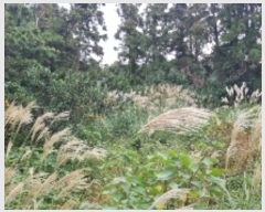  2024Ÿ��11216 ���� �������� ������ �Ϸʸ� 95-38      ����(�Ӿ�)���