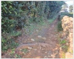  2024Ÿ��11216 ���� �������� ������ �Ϸʸ� 95-38      ����(�Ӿ�)���