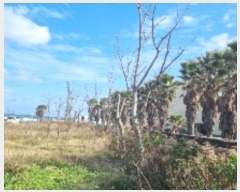  2024Ÿ��11926  �����