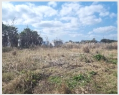  2024Ÿ��11926  �����