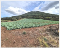  2024Ÿ12103  ֽ Ѹ ݾǸ 1123-1      (Ӿ)