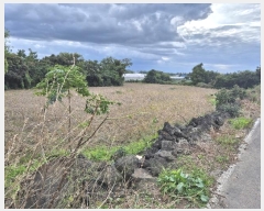  2024Ÿ12103  ֽ Ѹ ݾǸ 1123-1      (Ӿ)