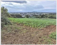  2024Ÿ12103  ֽ Ѹ ݾǸ 1123-1      (Ӿ)