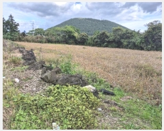  2024Ÿ12103  ֽ Ѹ ݾǸ 1123-1      (Ӿ)