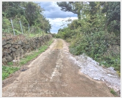  2024Ÿ12103  ֽ Ѹ ݾǸ 1123-1      (Ӿ)