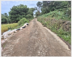  2024Ÿ12103  ֽ Ѹ ݾǸ 1123-1      (Ӿ)