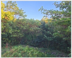  2024Ÿ��12554 ���� �������� ǥ���� ���ø� 1666      ����(������)���