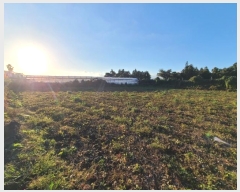  2024Ÿ��12554 ���� �������� ǥ���� ���ø� 1666      ����(������)���