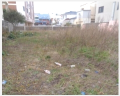  2024Ÿ��12820 ���� ���ֽ� ����ϵ� 251-1       ����(����)���