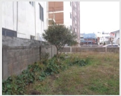  2024Ÿ��12820 ���� ���ֽ� ����ϵ� 251-1       ����(����)���