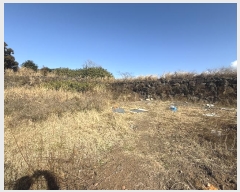  2024Ÿ12905   ȴ  862-17      ()