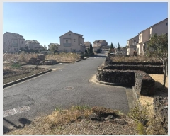  2024Ÿ12905   ȴ  862-17      ()