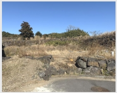  2024Ÿ12905   ȴ  862-17      ()