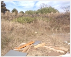  2024Ÿ12905   ȴ  862-17      ()