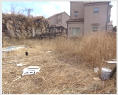  2024Ÿ12905   ȴ  862-17      ()