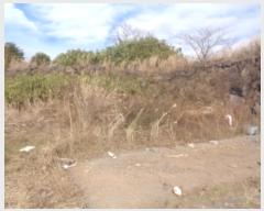  2024Ÿ12905   ȴ  862-17      ()