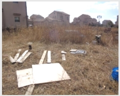  2024Ÿ12905   ȴ  862-17      ()