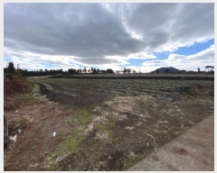  2024Ÿ13373  ֽ  ۴縮 867      (1)