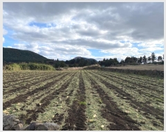  2024Ÿ13373  ֽ  ۴縮 867      (1)