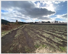  2024Ÿ13373  ֽ  ۴縮 867      (1)