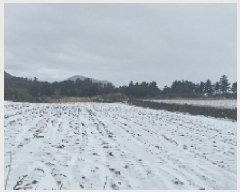  2024Ÿ13373  ֽ  ۴縮 867      (1)