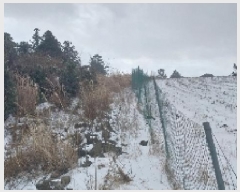  2024Ÿ13373  ֽ  ۴縮 867      (1)