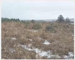  2024Ÿ13373  ֽ  ۴縮 867      (1)