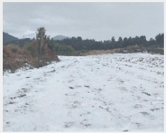  2024Ÿ13373  ֽ  ۴縮 867      (1)