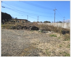  2024Ÿ��13465 ���� �������� ������ �Ϸʸ� 1229-15      ����(������)���