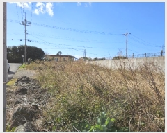  2024Ÿ��13465 ���� �������� ������ �Ϸʸ� 1229-15      ����(������)���