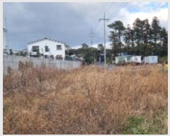  2024Ÿ��13465 ���� �������� ������ �Ϸʸ� 1229-15      ����(������)���