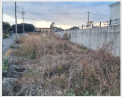  2024Ÿ��13465 ���� �������� ������ �Ϸʸ� 1229-15      ����(������)���