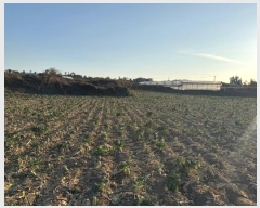  2024Ÿ��13502 ���� ���ֽ� �Ѹ��� ������ 961      ����(��1)���