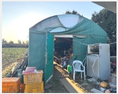  2024Ÿ��13502 ���� ���ֽ� �Ѹ��� ������ 961      ����(��1)���