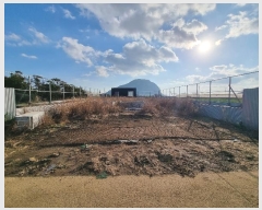  2024Ÿ13977    ȼ 238-16      (1)