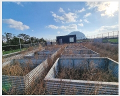  2024Ÿ13977    ȼ 238-16      (1)