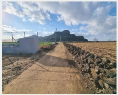  2024Ÿ13977    ȼ 238-16      (1)