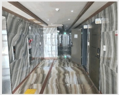  2024Ÿ��22995  ���ڽü����