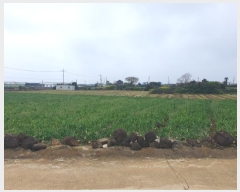  2024Ÿ��24014 ���� �������� ������ ������ 1823-17      ����(��1)���