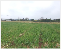  2024Ÿ��24014 ���� �������� ������ ������ 1823-17      ����(��1)���