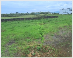  2024Ÿ��25642  �����