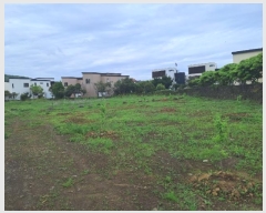  2024Ÿ��25642  �����