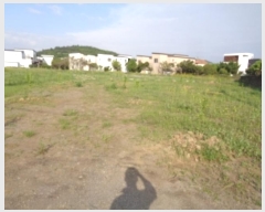  2024Ÿ��25642  �����